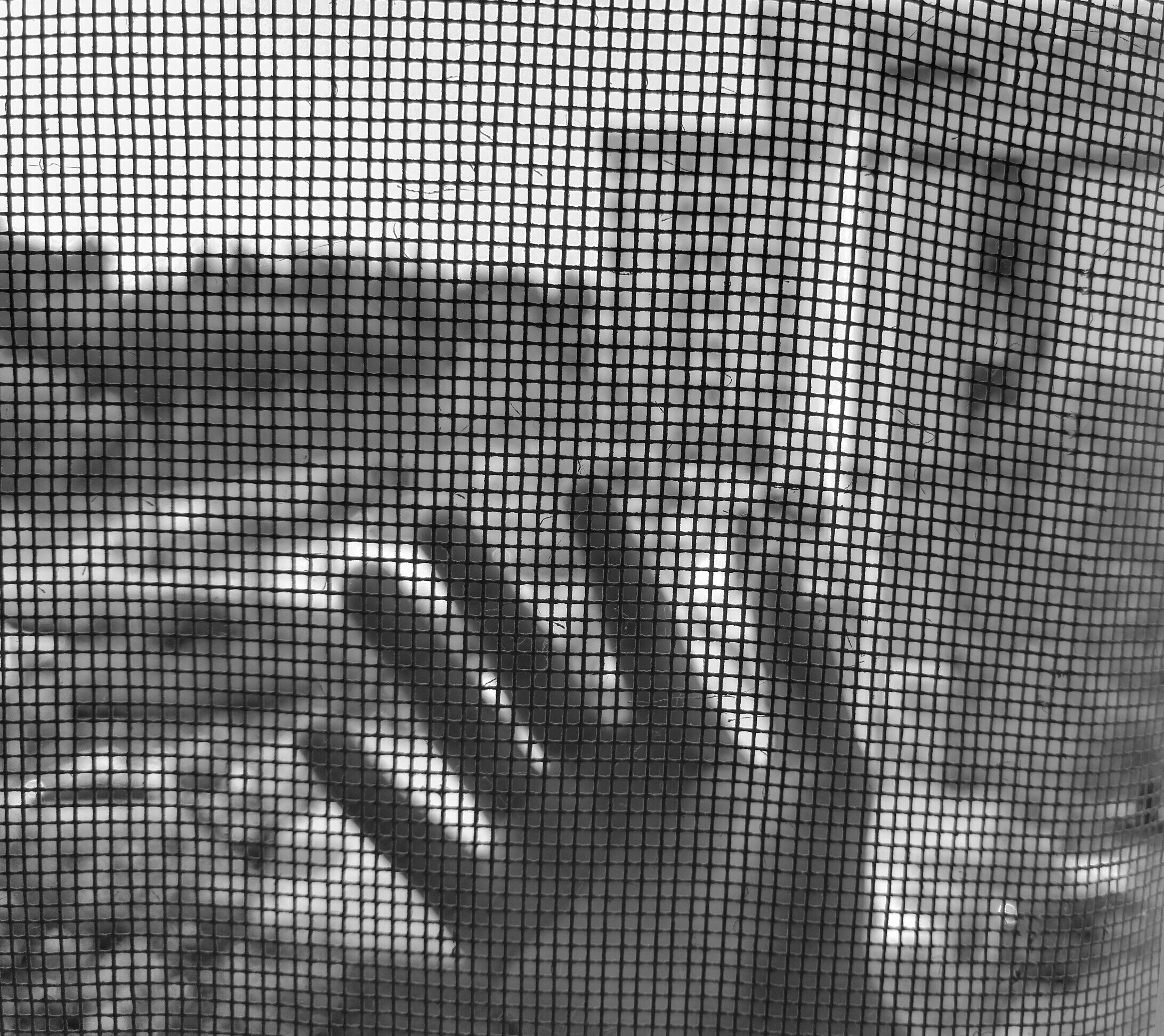 Avatar of user yip vick