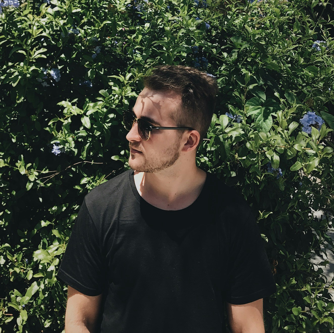 Avatar of user Michael Petrila