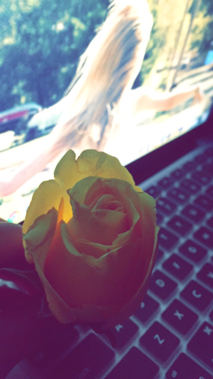 Avatar of user Wijdan Mq