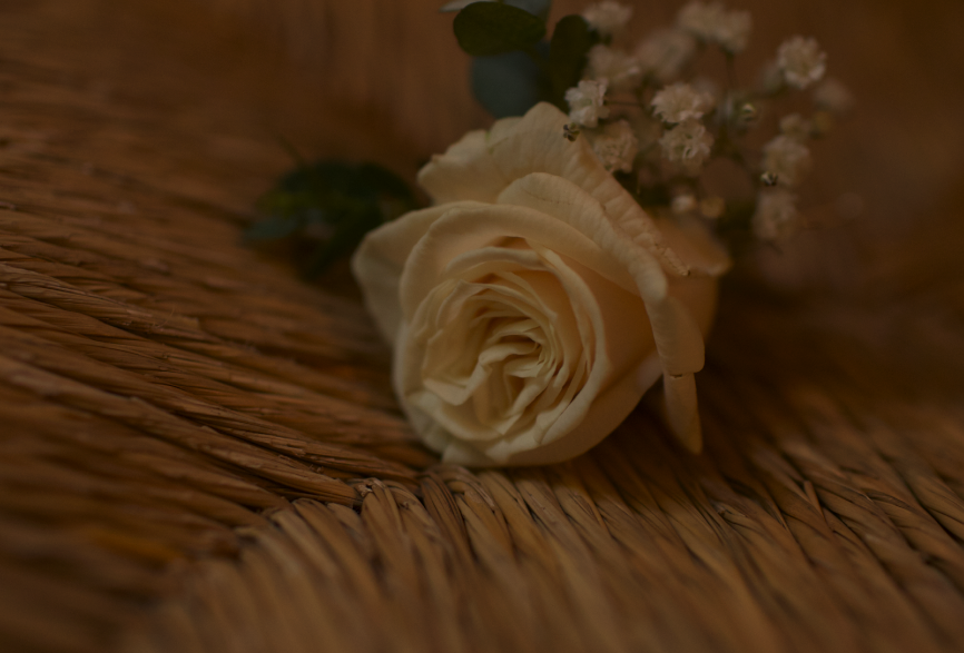 Go to Cinematic Imagery's profile