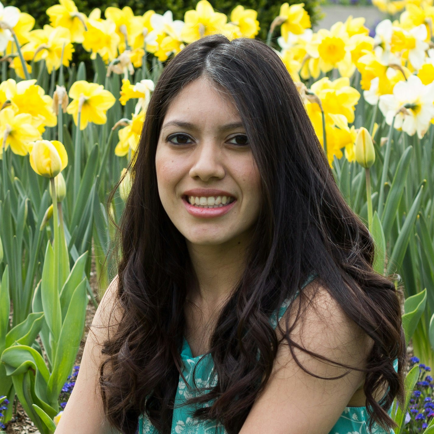 Go to Rocio Paredes's profile