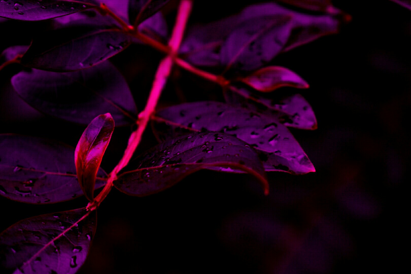 Unsplash profile picture for @hedges
