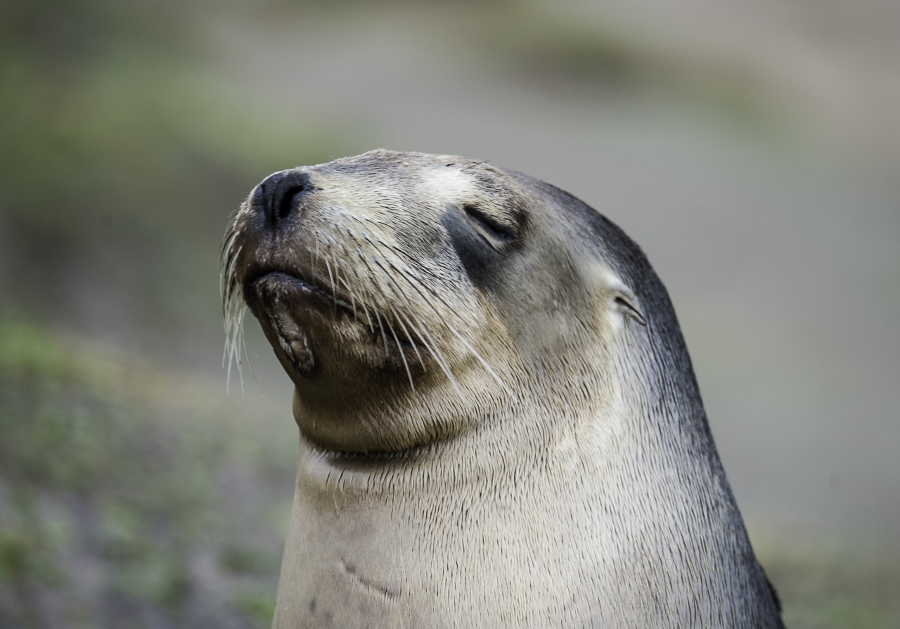 Go to Danting Zhu's profile