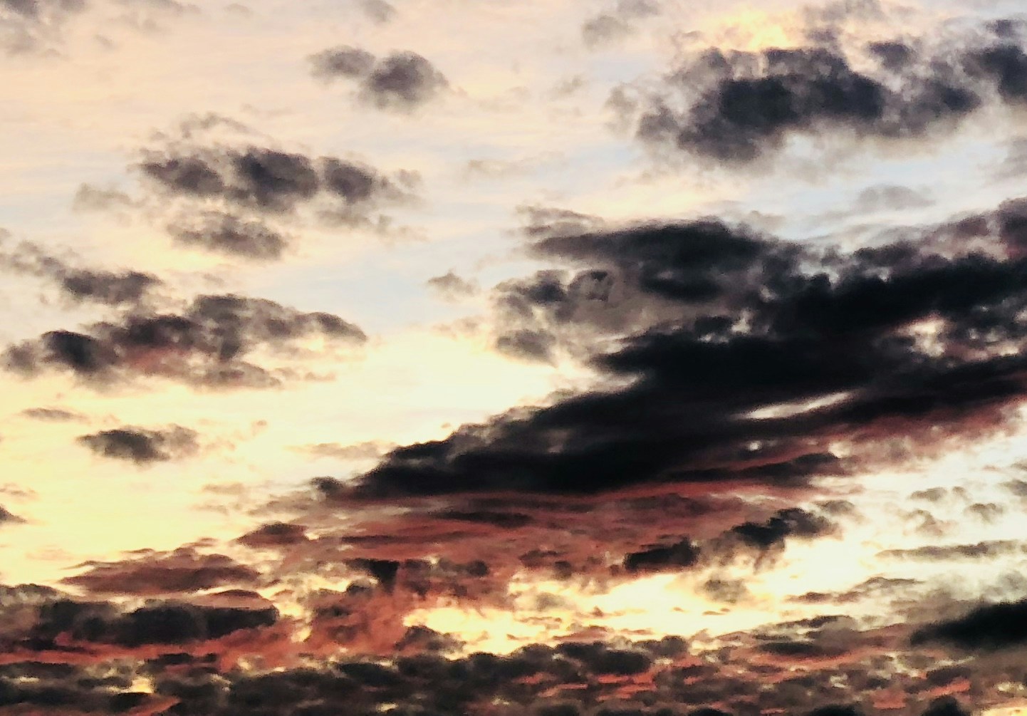 Accéder au profil de Stella Ribeiro