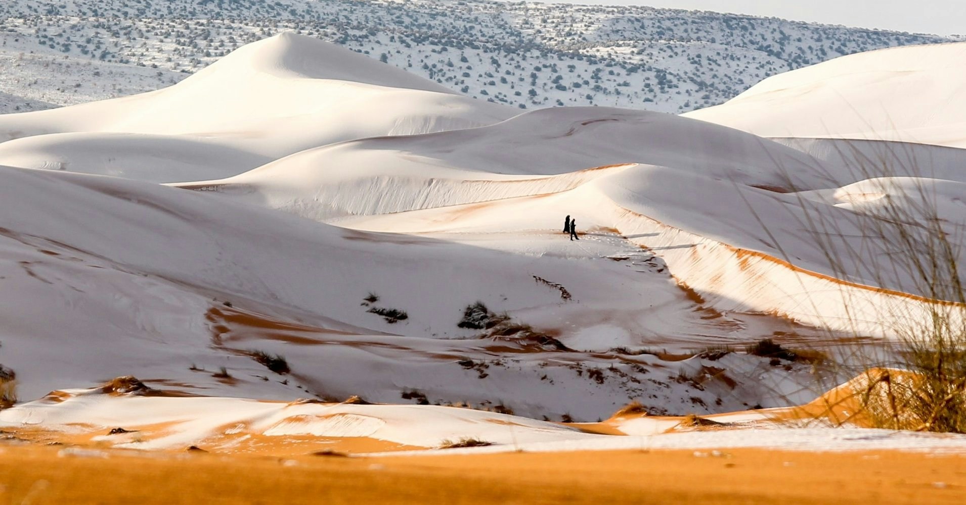 Go to Bo Kim's profile