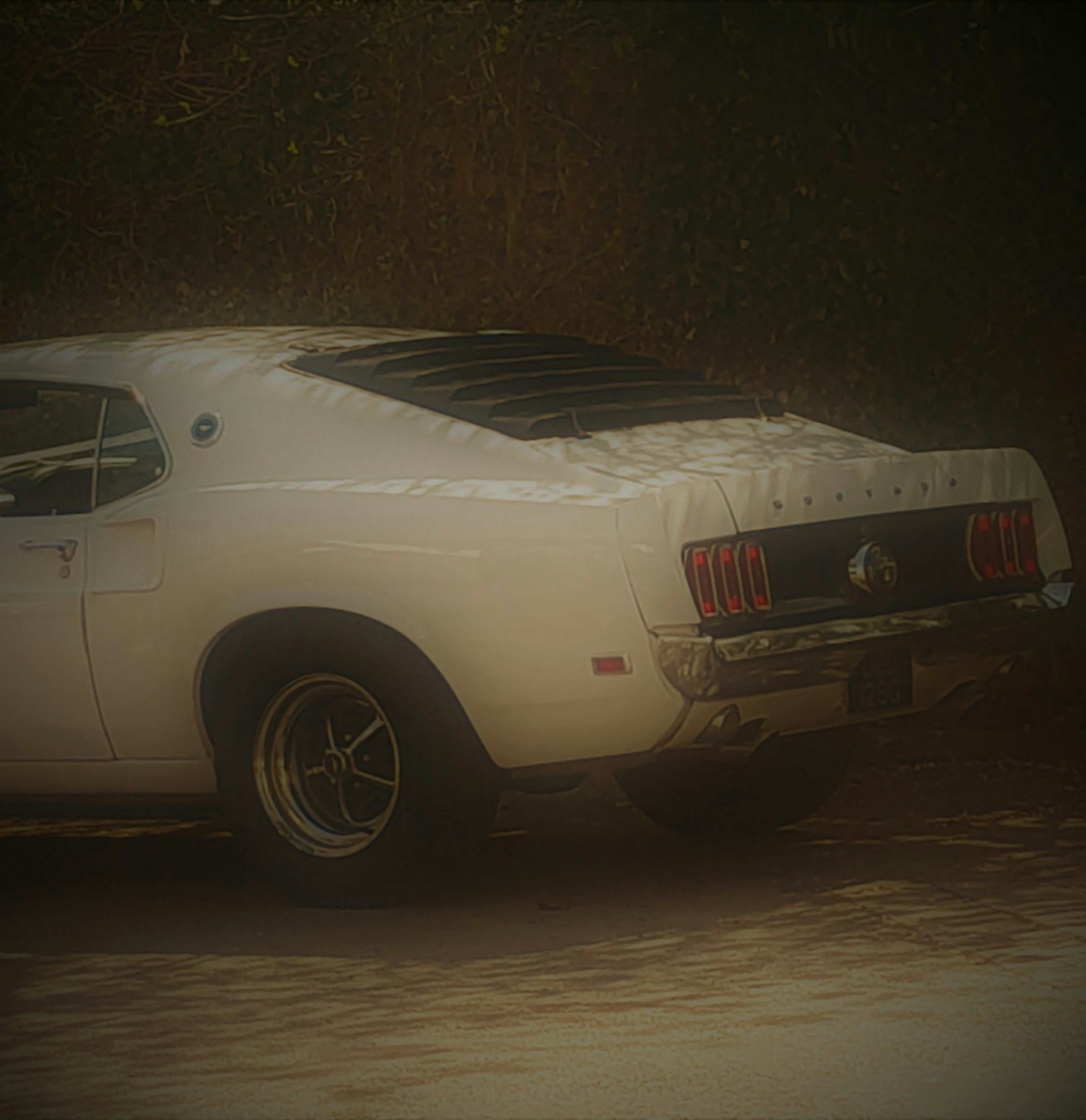 Ir para o perfil de Bogdan G