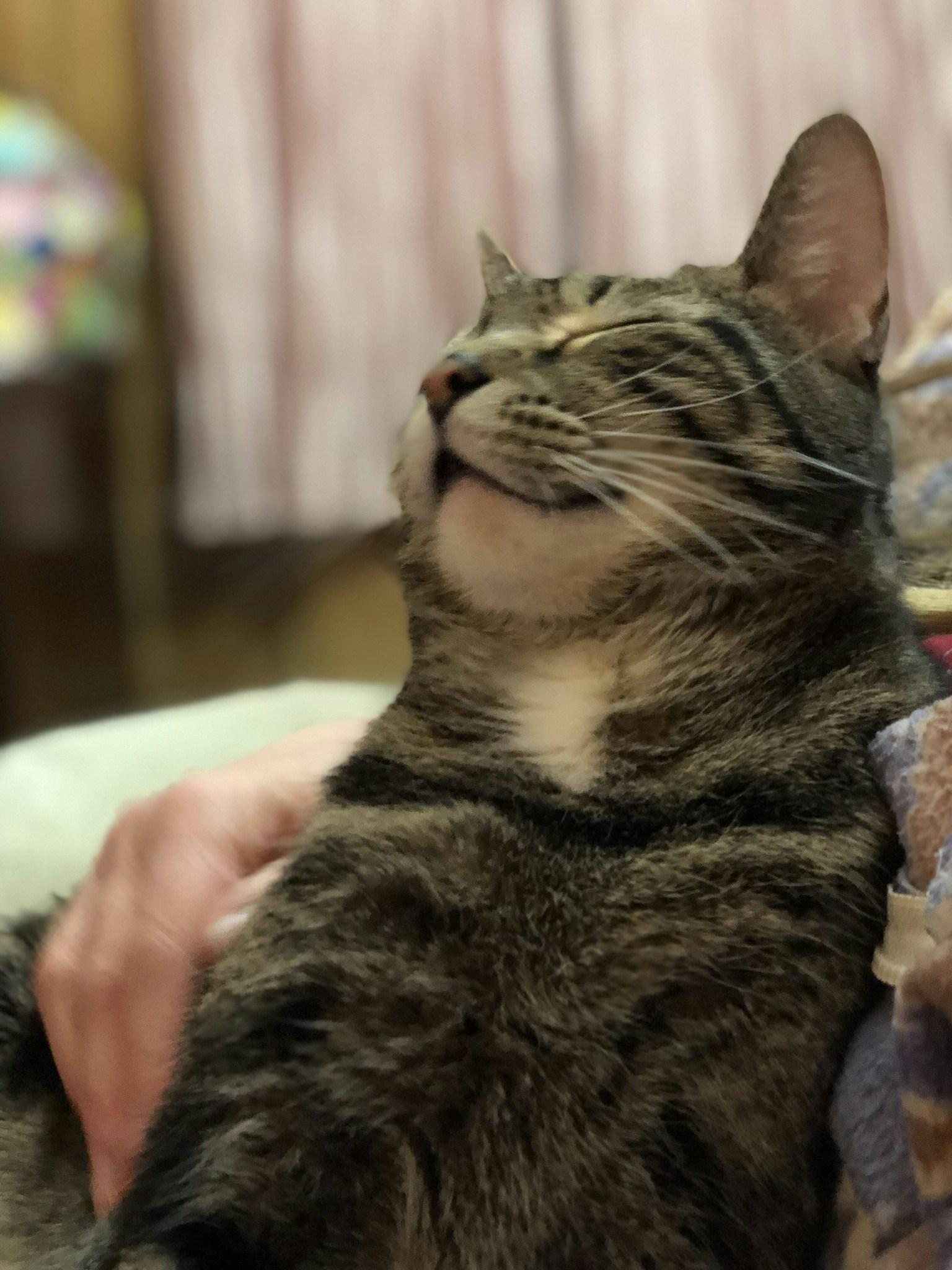 Go to Randy ORourke's profile