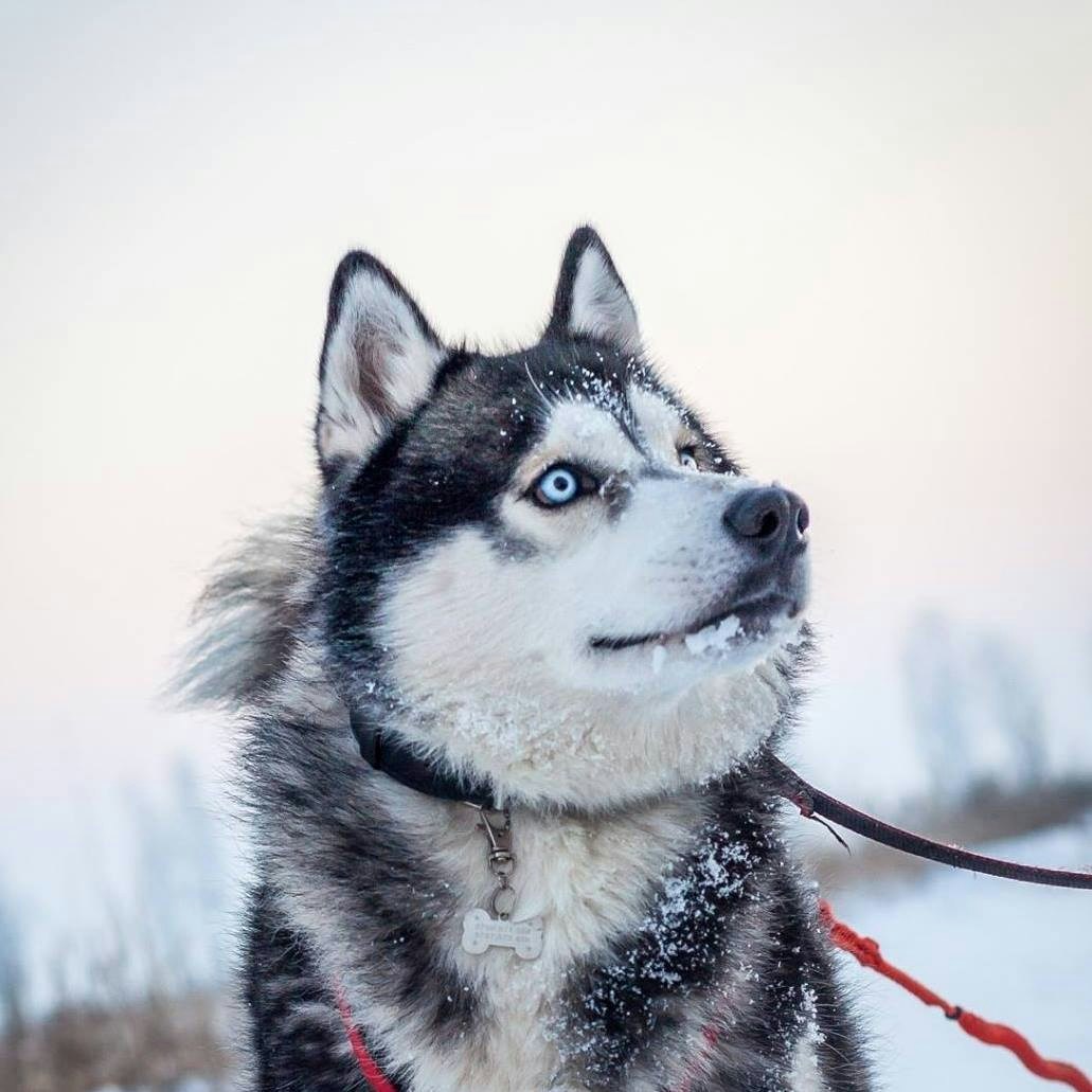 Go to Liviu Roman's profile