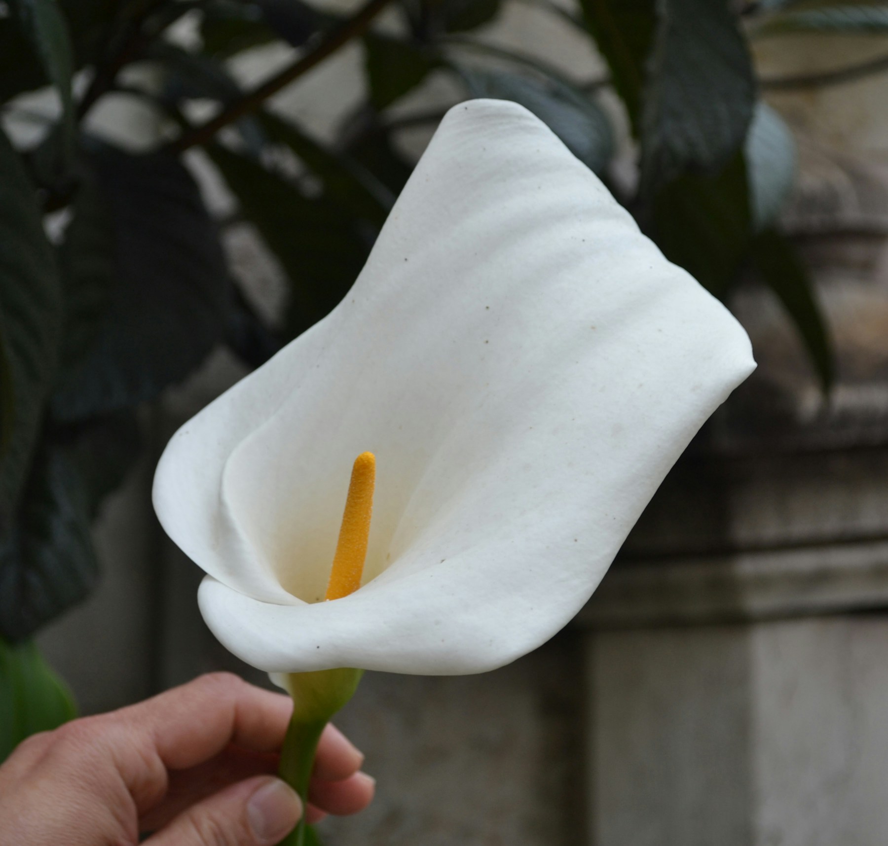 Go to diana prundeanu's profile