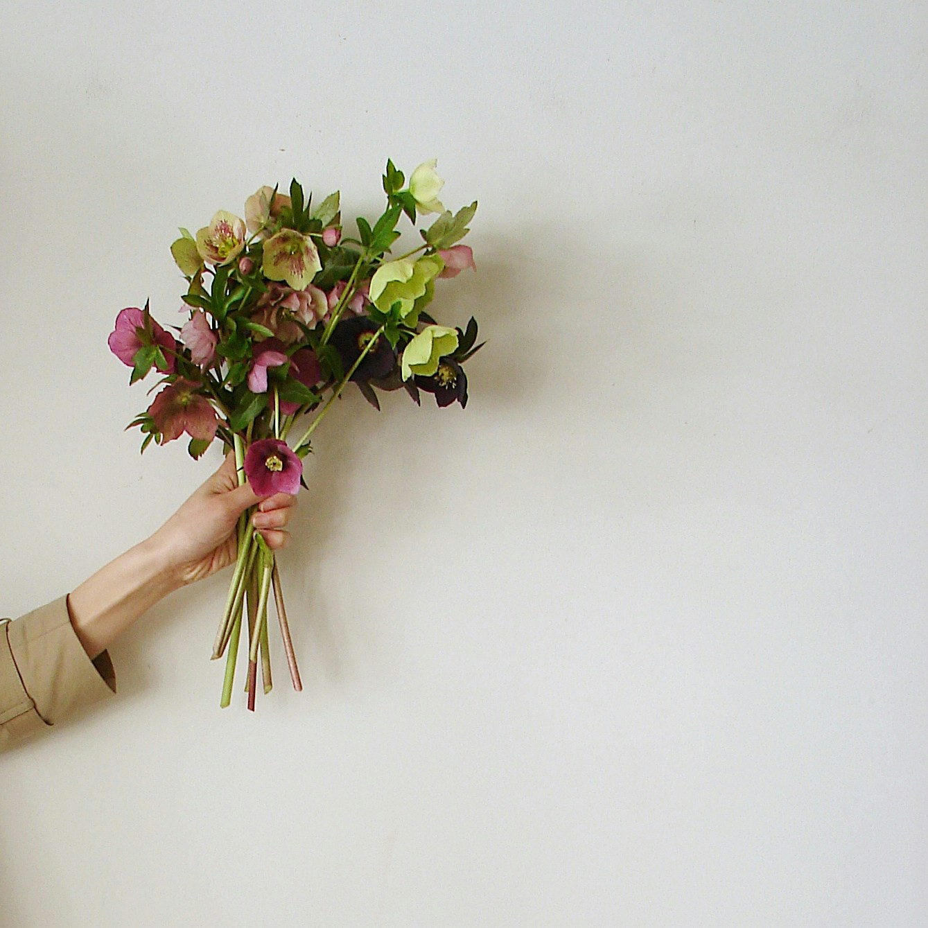 Go to Junko Nakase's profile