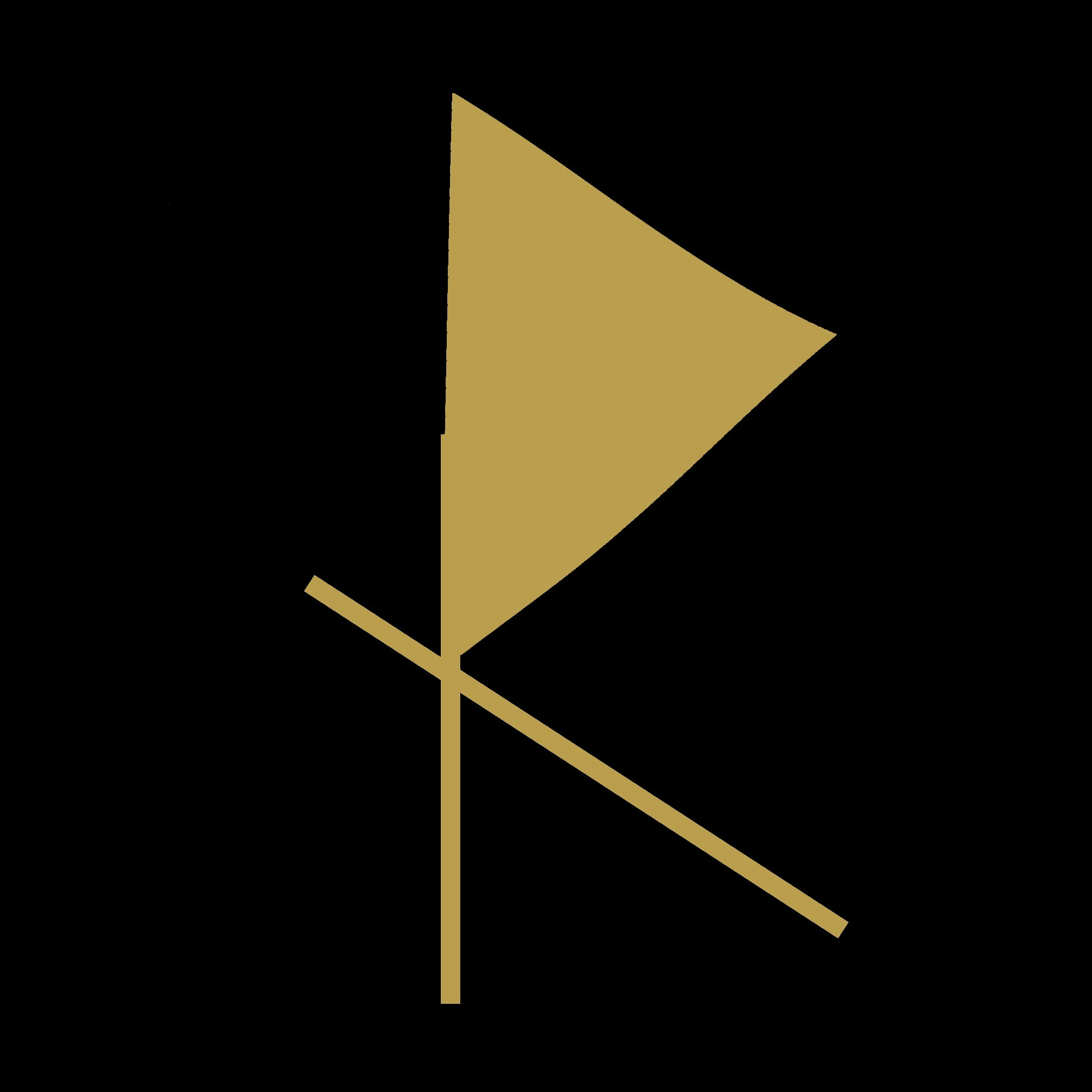 Vai al profilo di Xipu Li