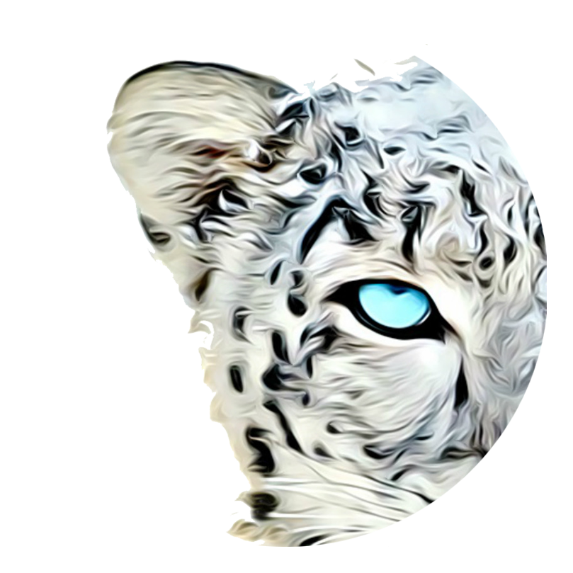 Ve al perfil de Bitcoin BCH