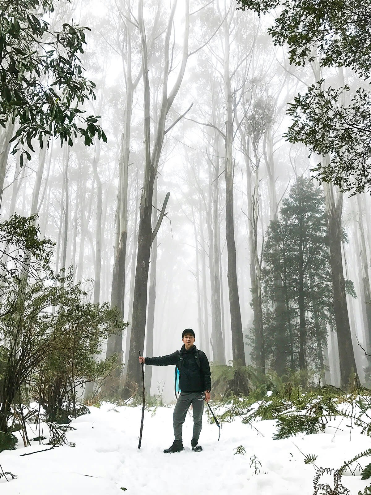 Go to Ryan Wan's profile