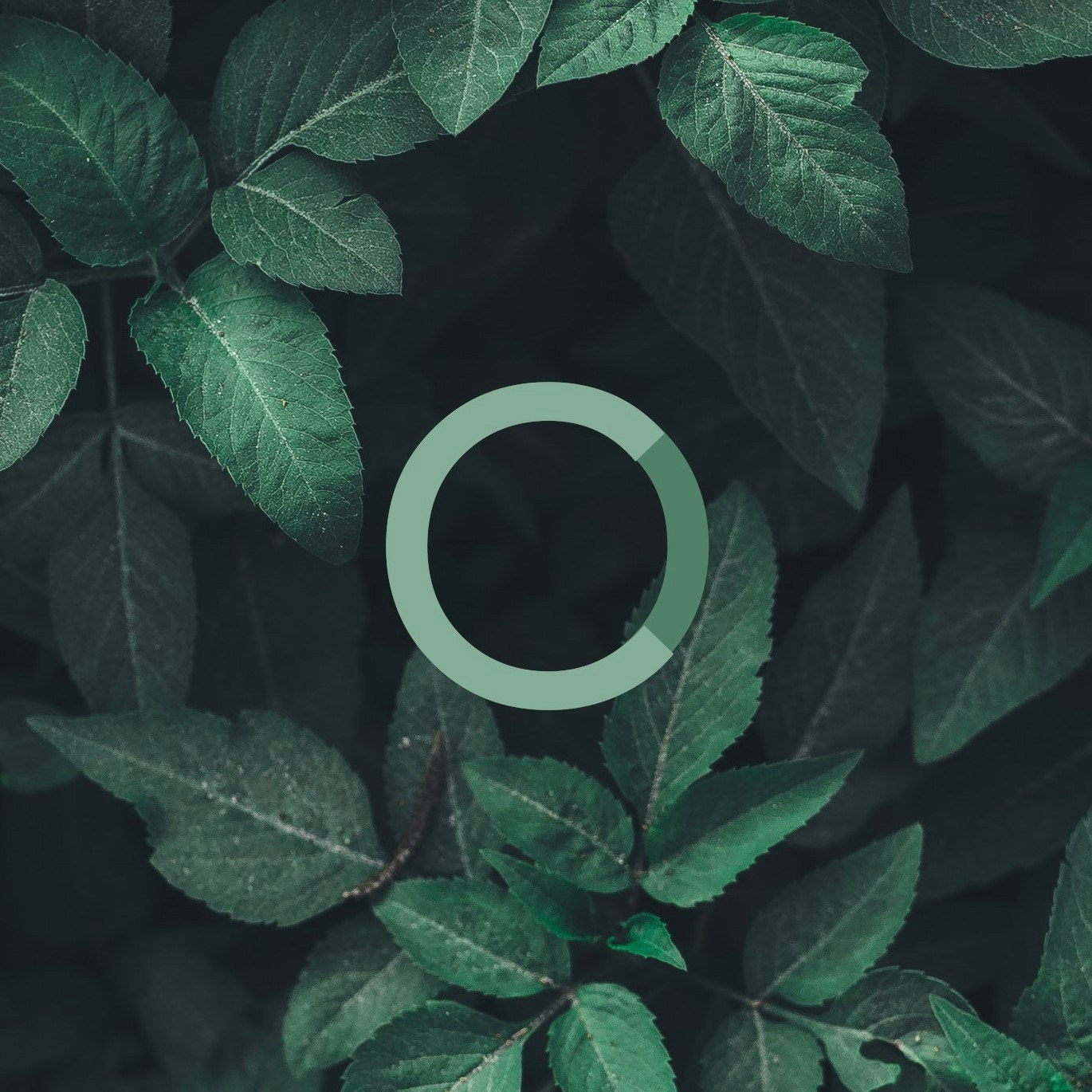 Unsplash profile picture for @implement