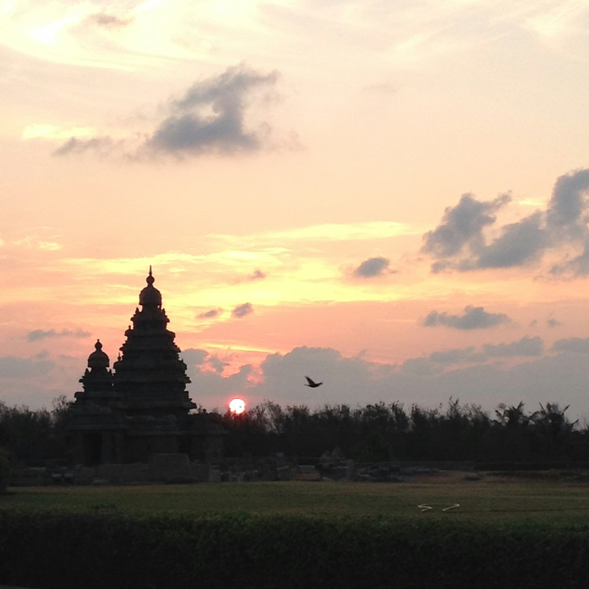 Zum Profil von Lucie Dawson