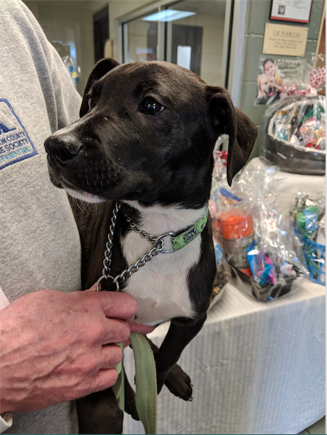 Avatar of user Josephine Gasser