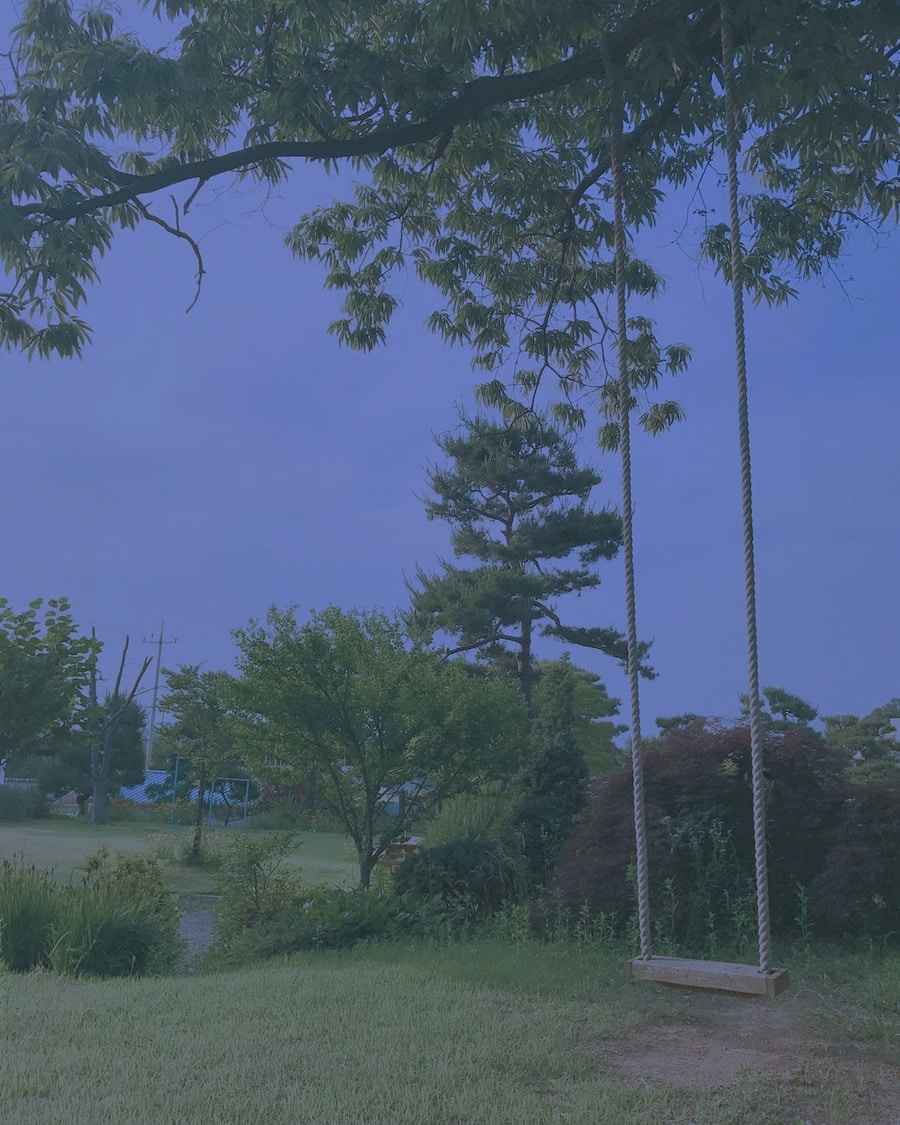 Unsplash profile picture for @hopee