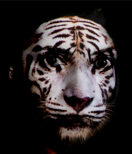 Ve al perfil de Carol Petri