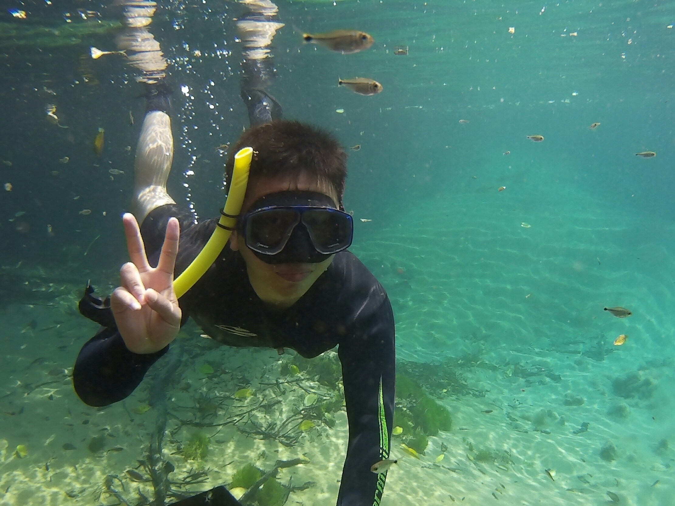 Go to gabriel xu's profile