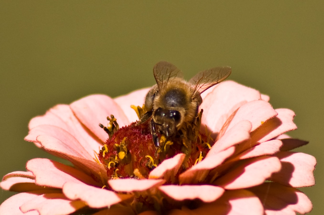 Go to Melanie Dretvic's profile