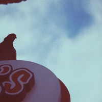 Avatar of user Gold Chain Collective