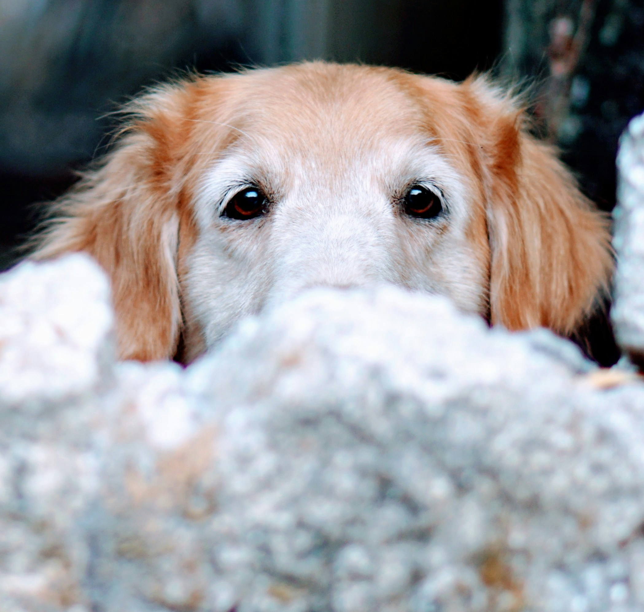 Go to Heri Susilo's profile