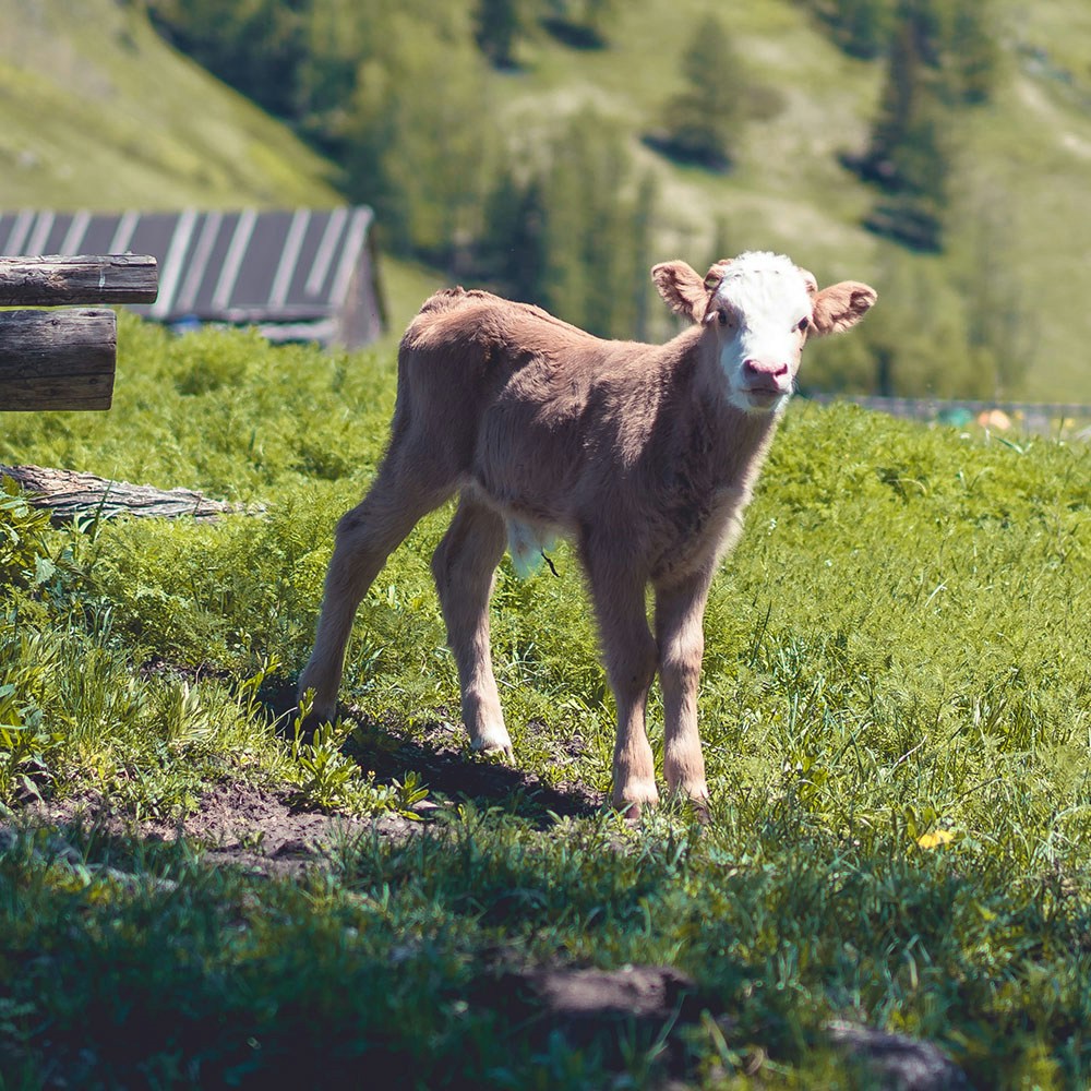 Go to Zhenyu Ye's profile