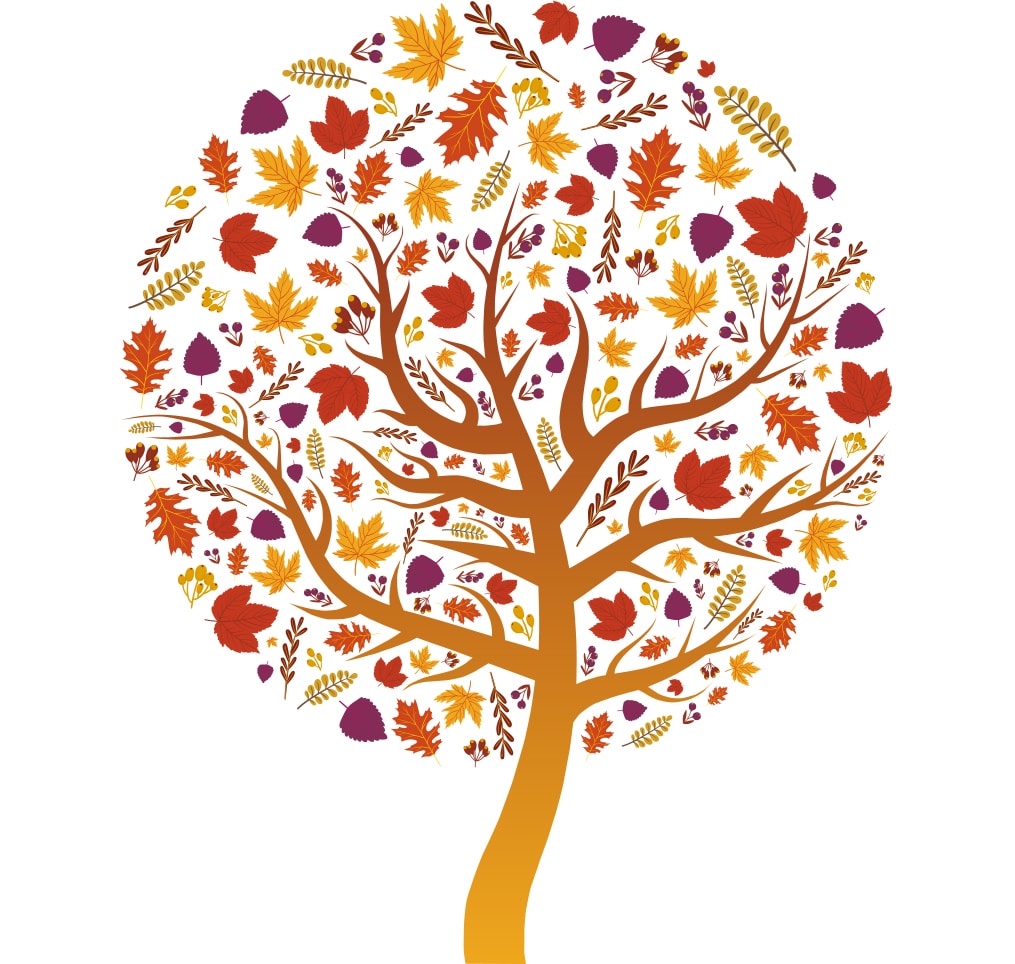 Ve al perfil de Rachelle Magpayo