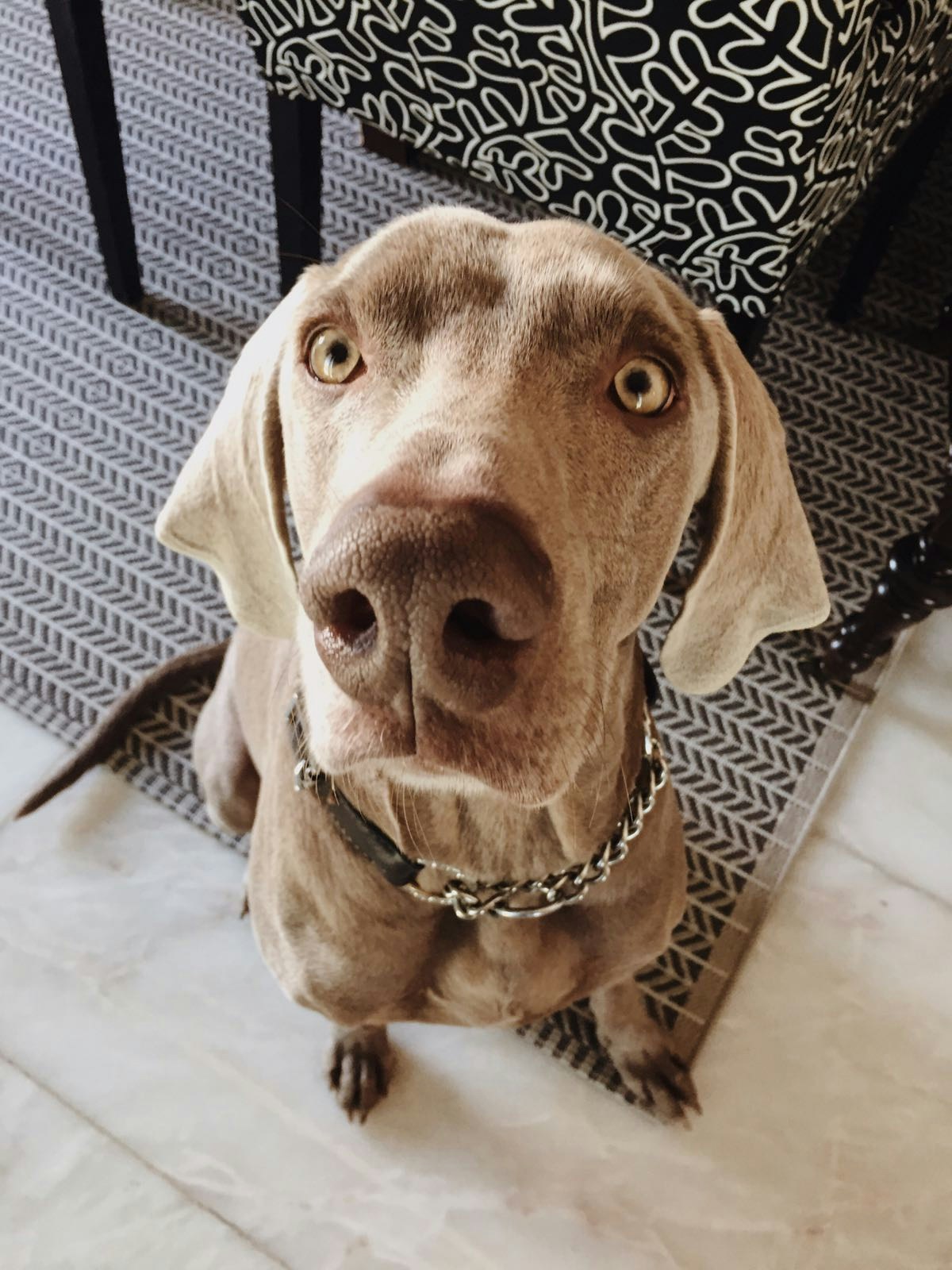 Avatar of user Sara Depraetere