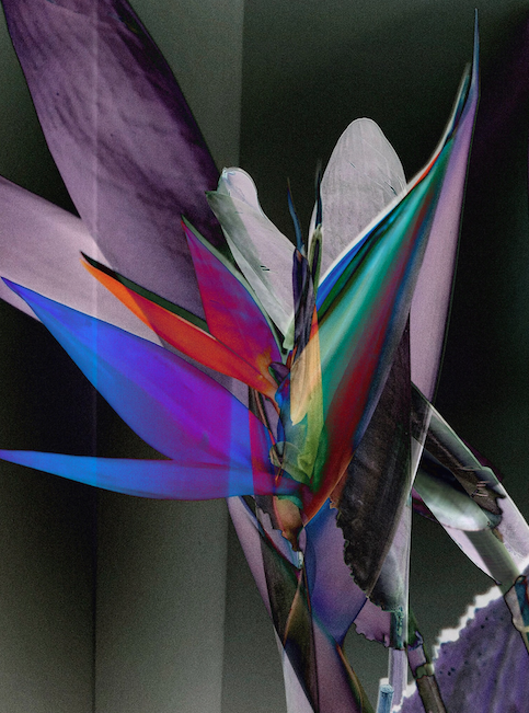 Go to Aran Mtnez's profile