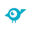 Avatar of user LITTLE BIRD Marketing Team