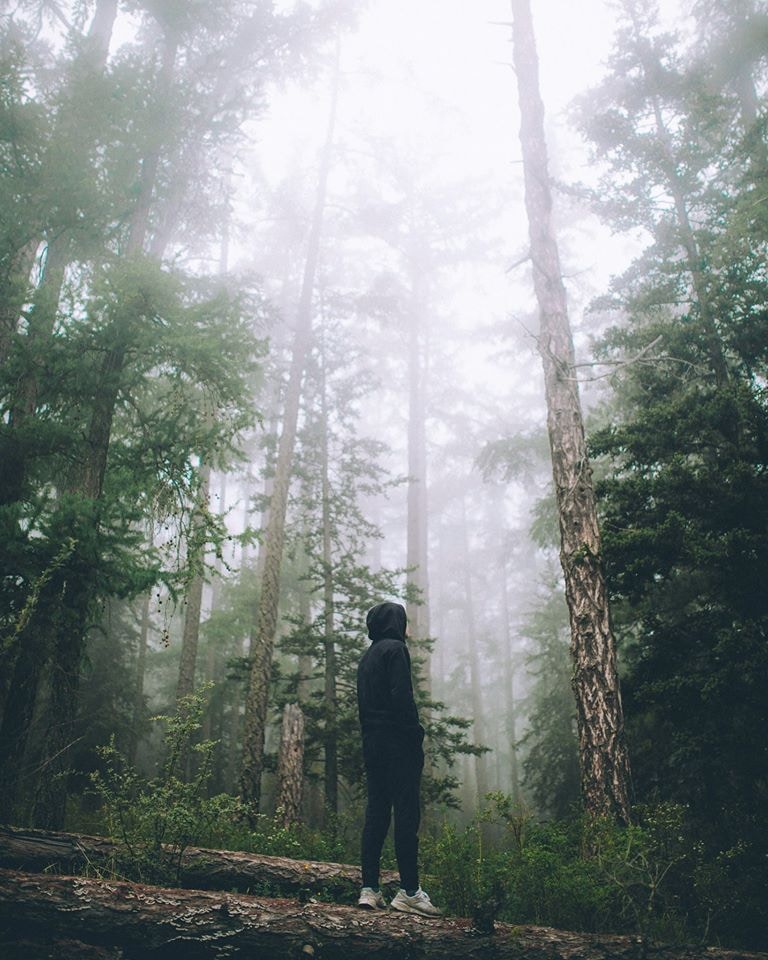 Go to Usukhbayar Gankhuyag's profile