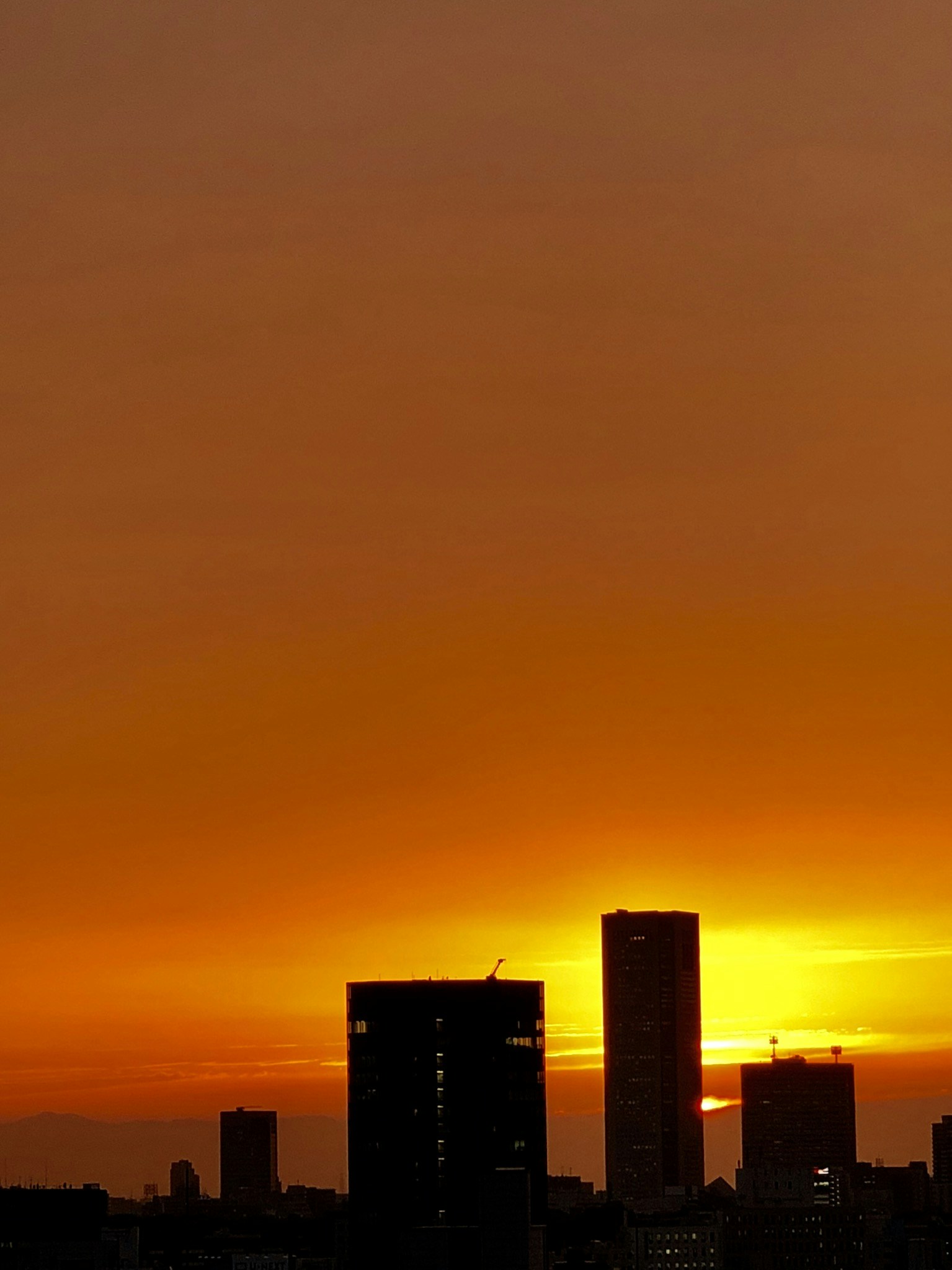 tokyo rattusのプロフィールを見る