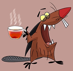 Go to Stephan H.'s profile