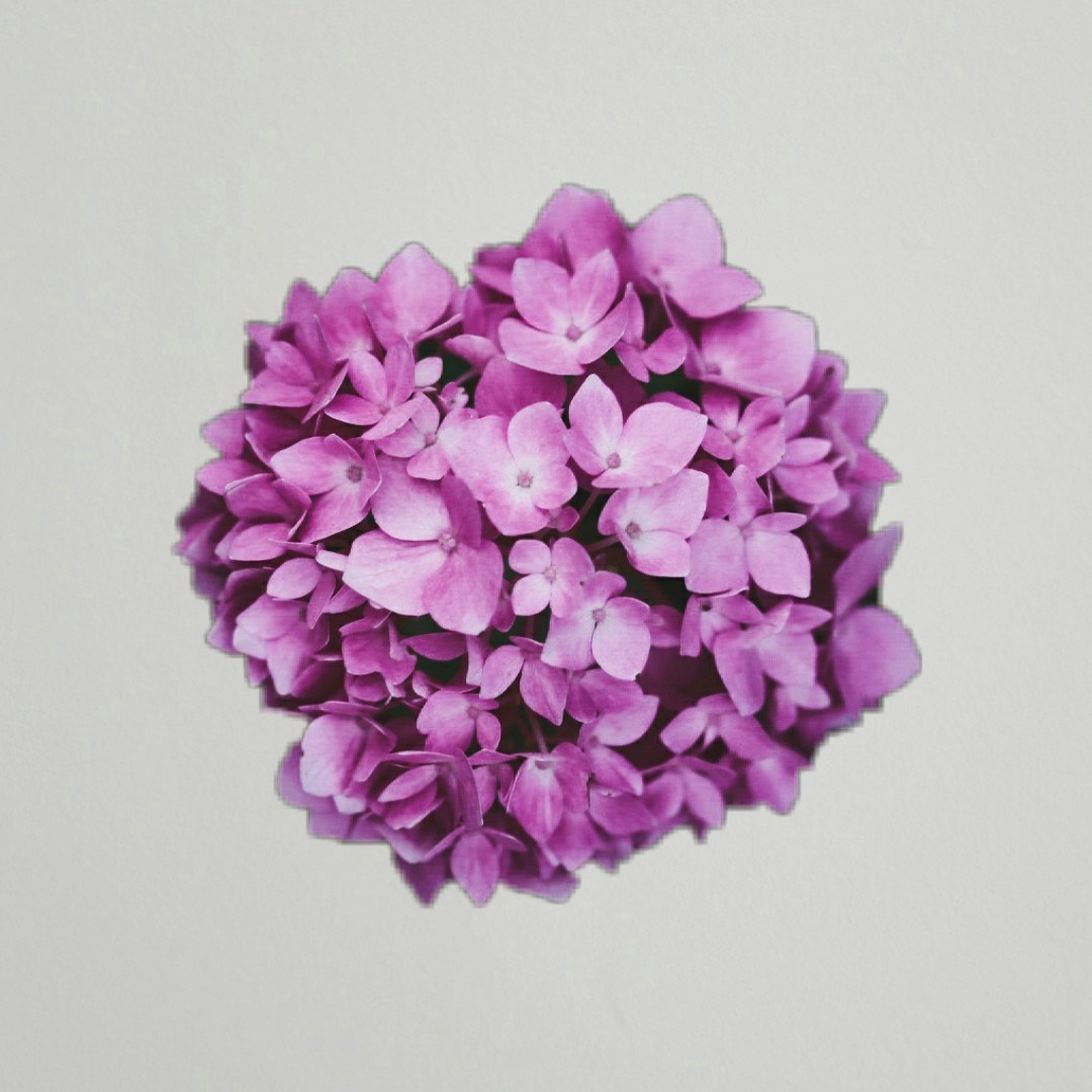 Zum Profil von Mihika