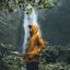 travelers stories of Forest in Tumpak Sewu Waterfall, Indonesia