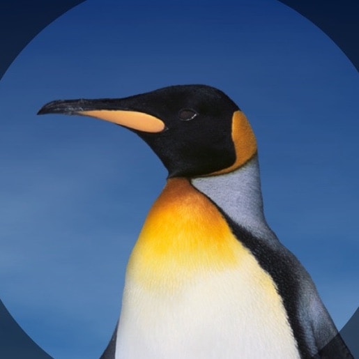 Zum Profil von Ping Onganankun