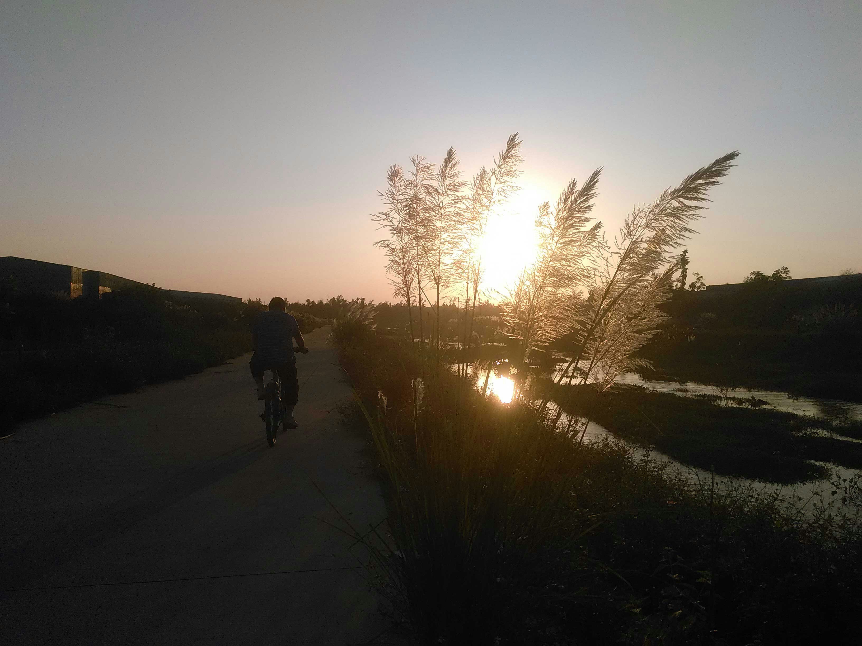 Go to 正德 张's profile