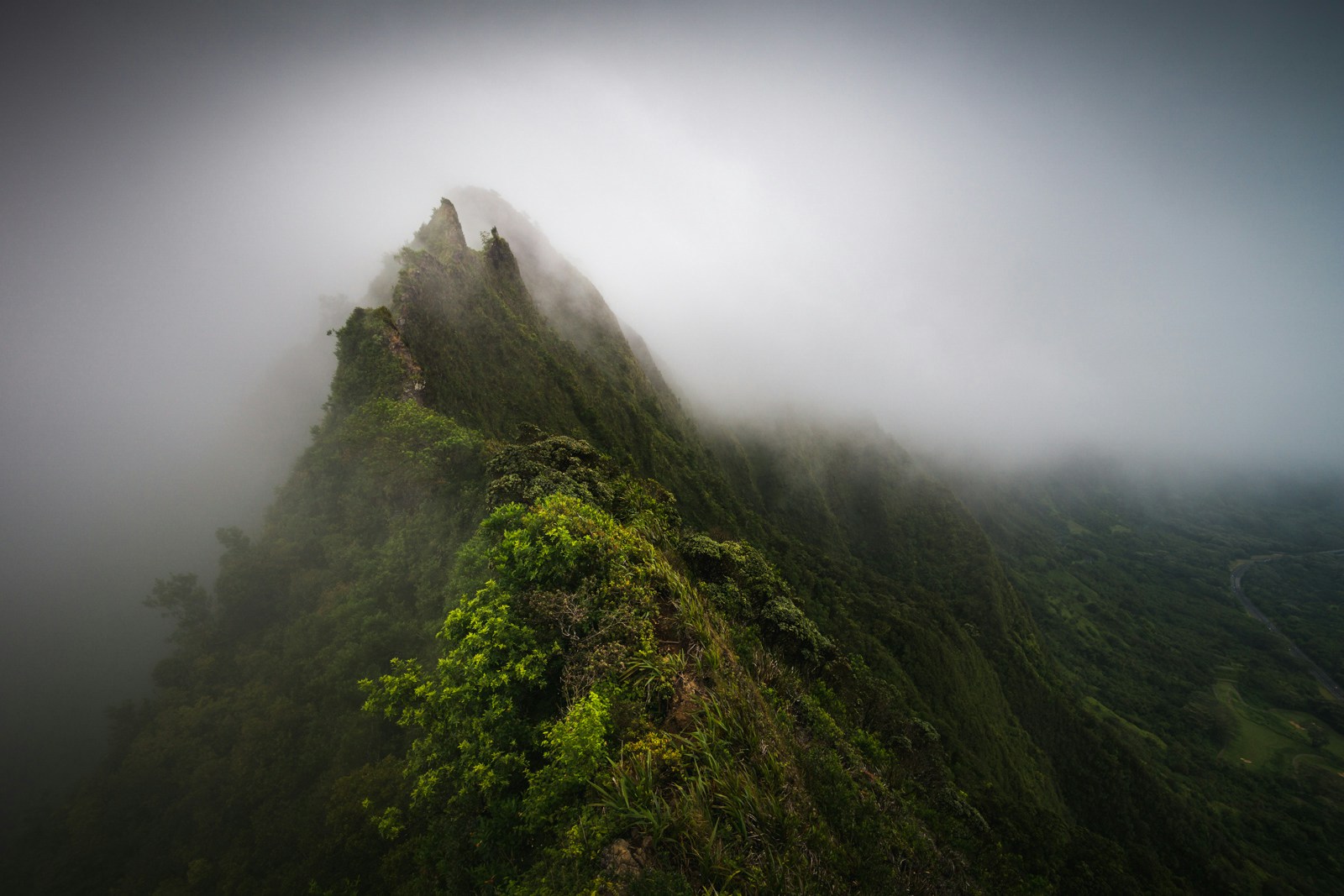 Go to Peter Vanosdall's profile