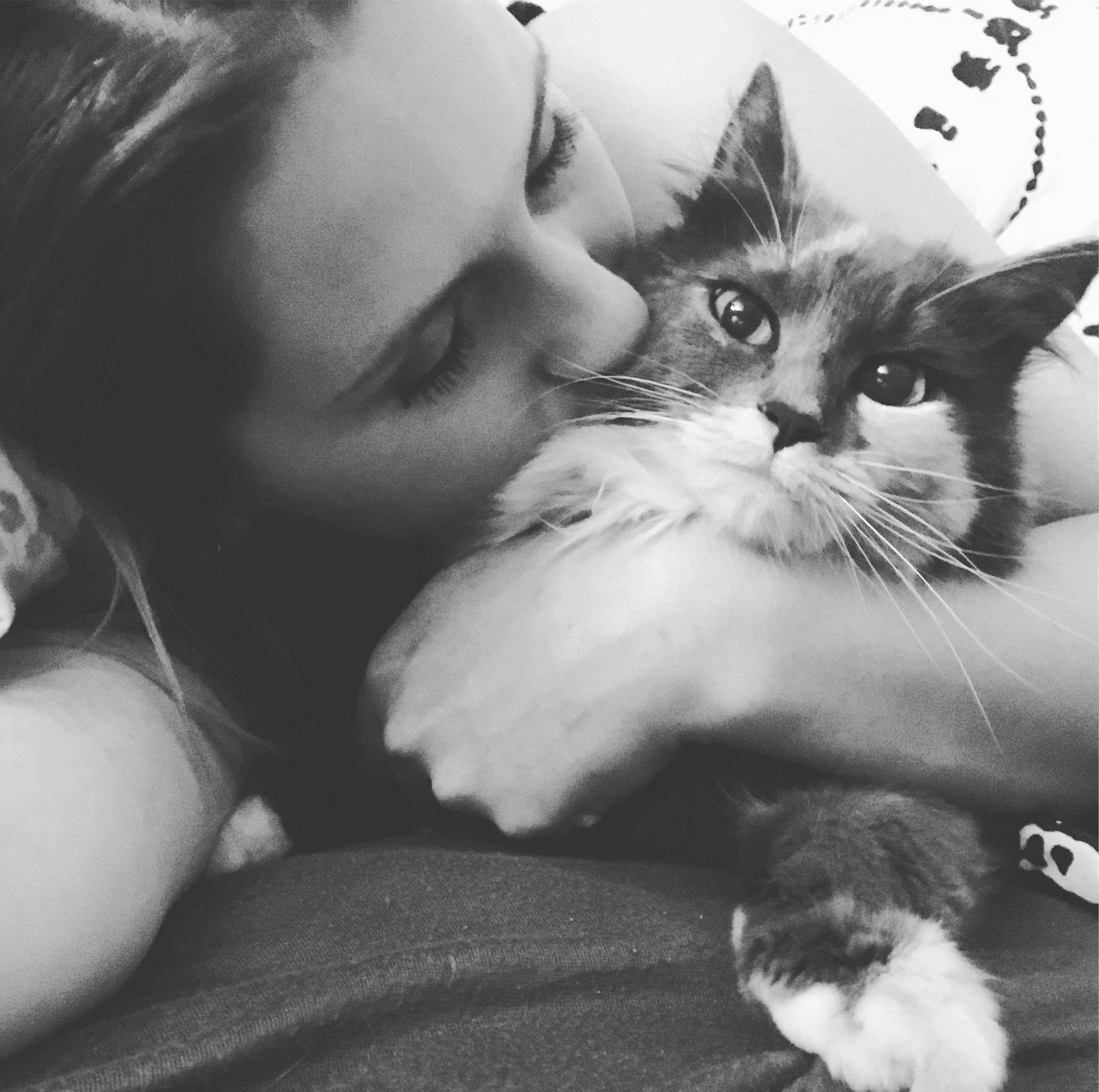 Go to Courtnie Tosana's profile