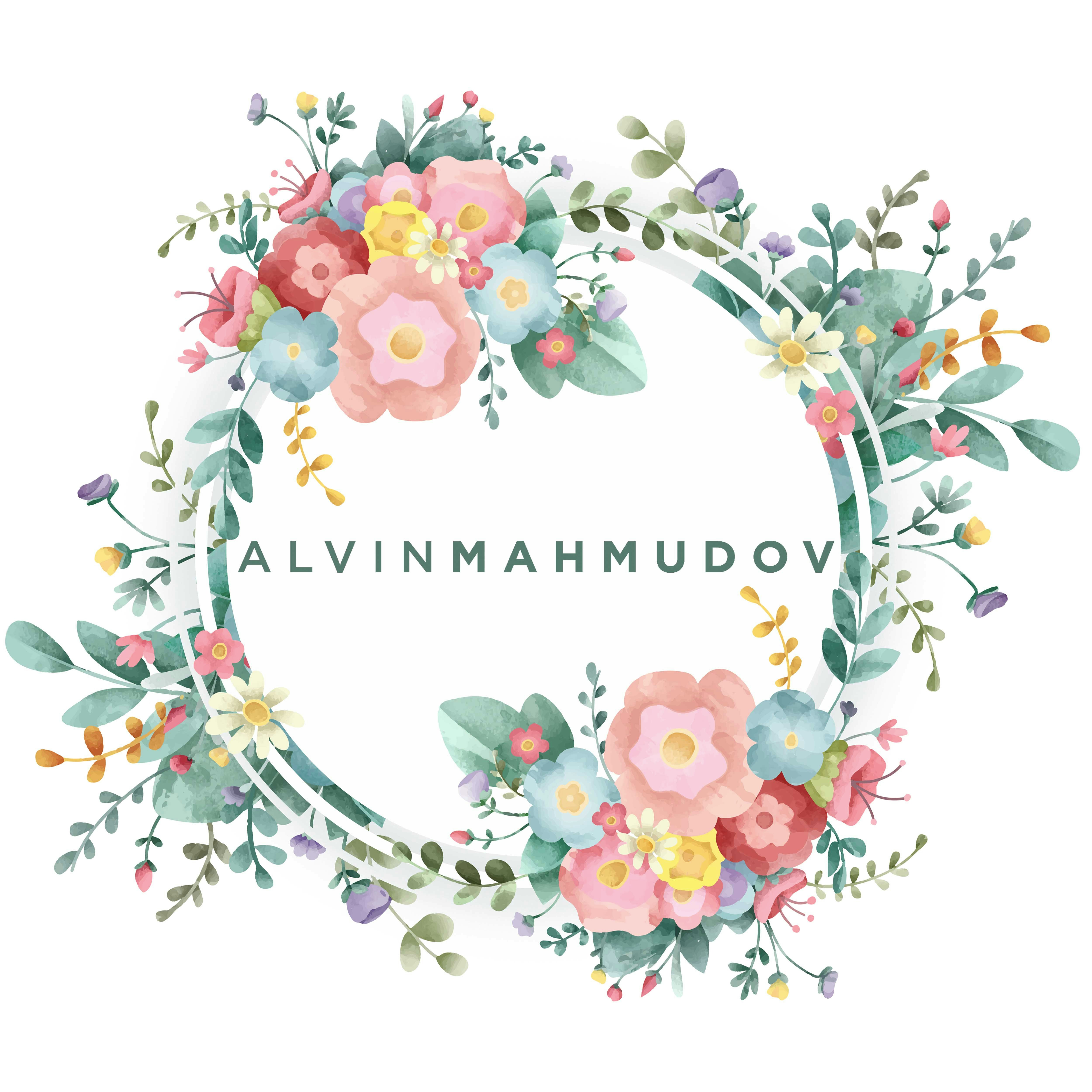 Go to Alvin Mahmudov's profile