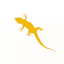 Avatar of user The Golden Gecko
