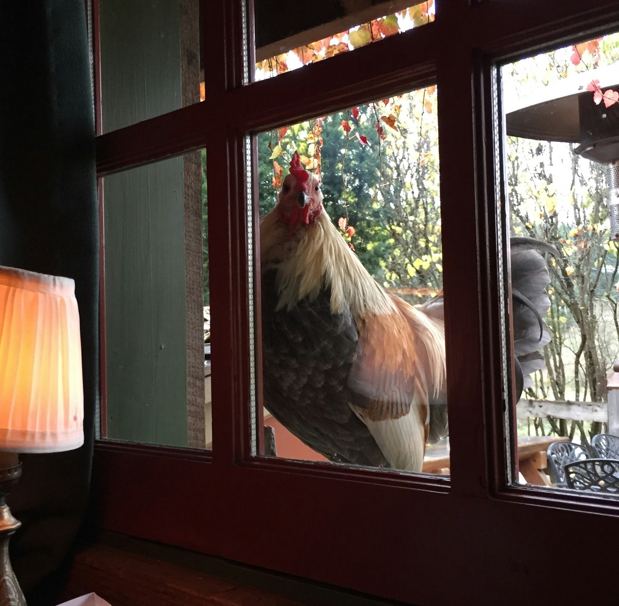 Vai al profilo di David KT