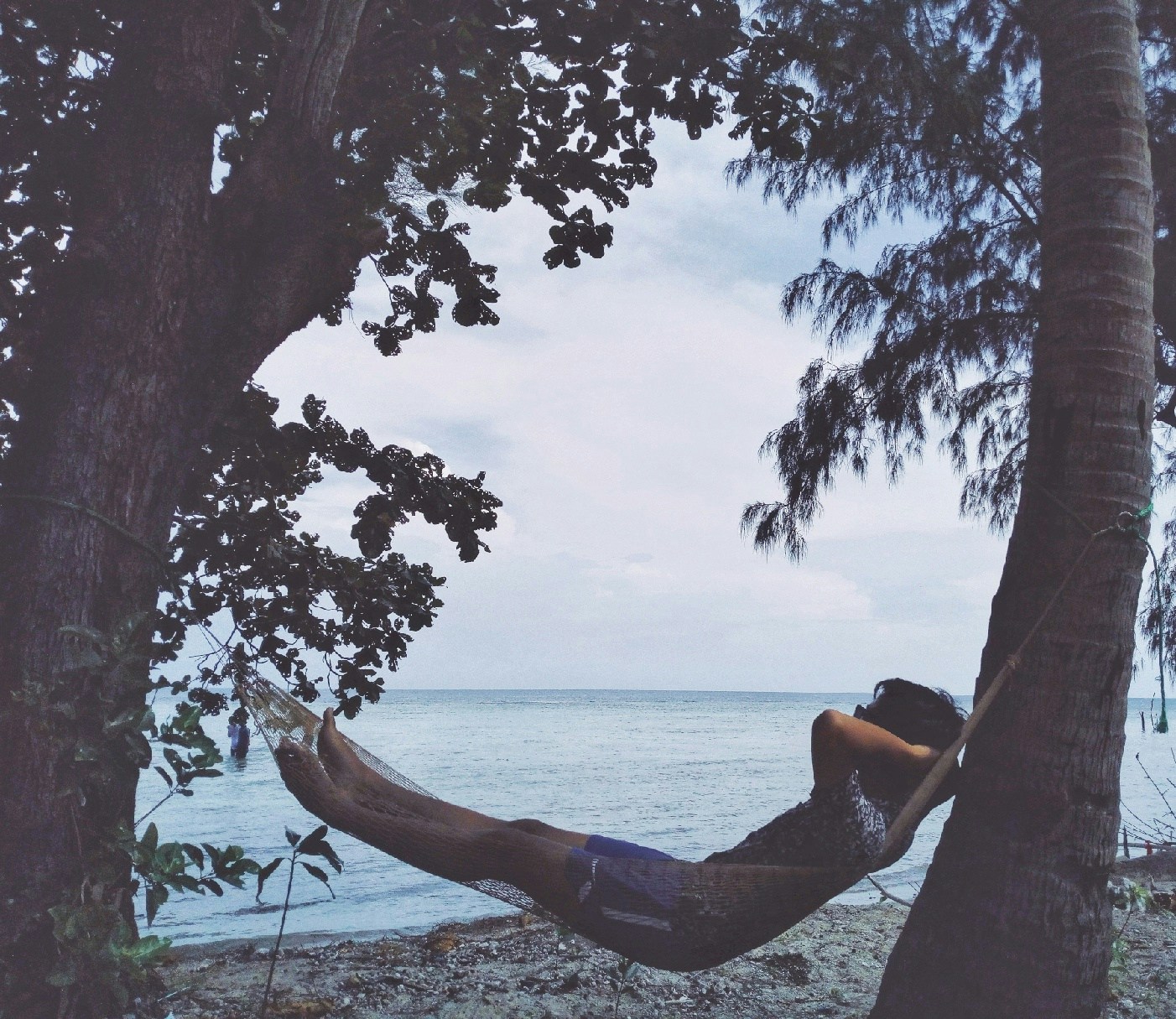 Vai al profilo di carolus abi