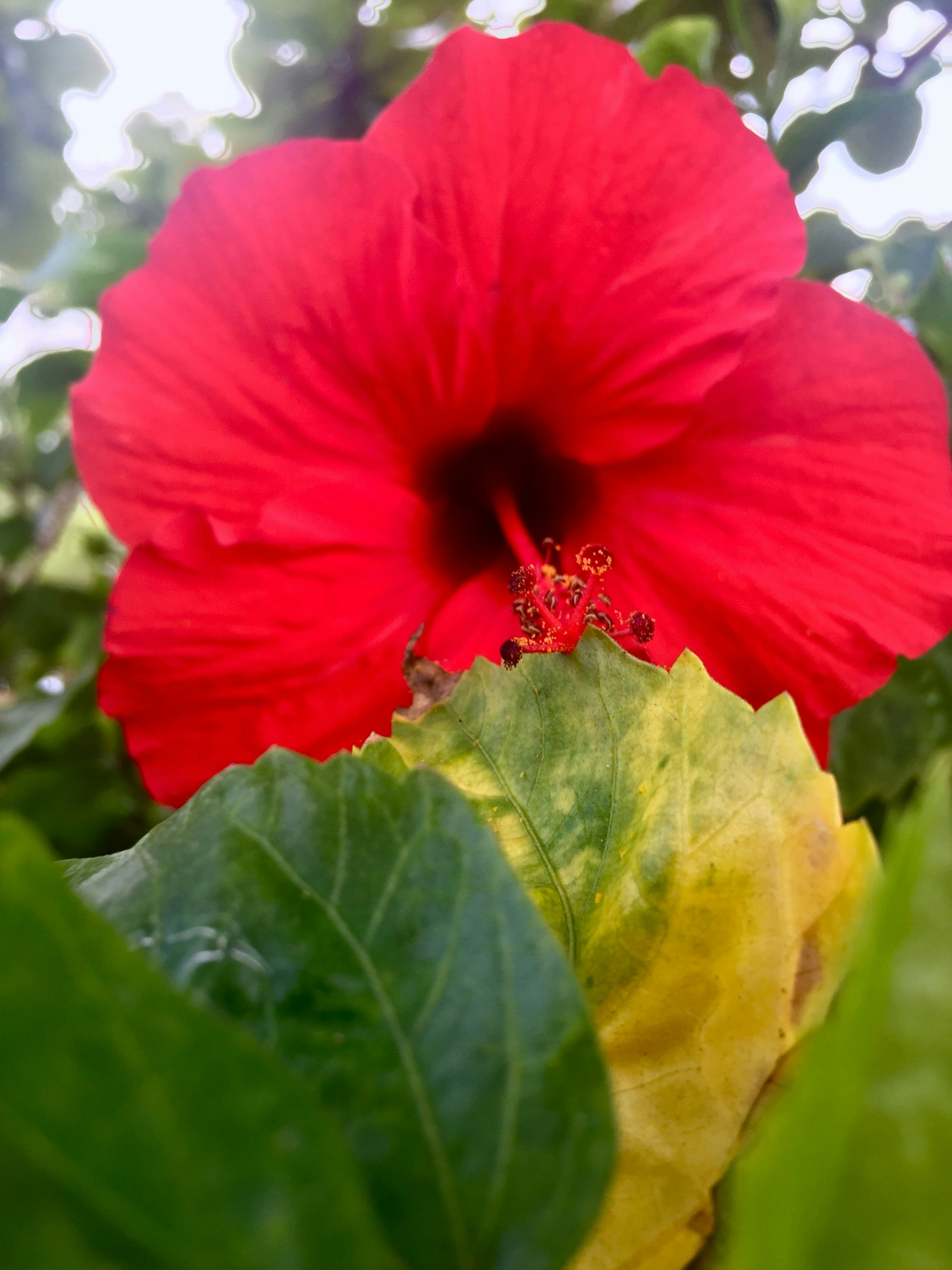 Go to Mika N's profile