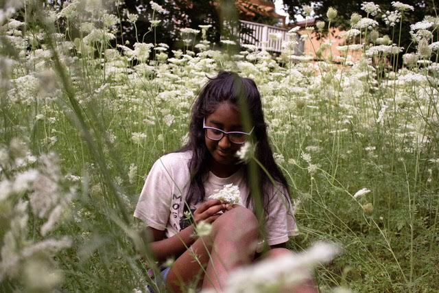 Vai al profilo di sankavi