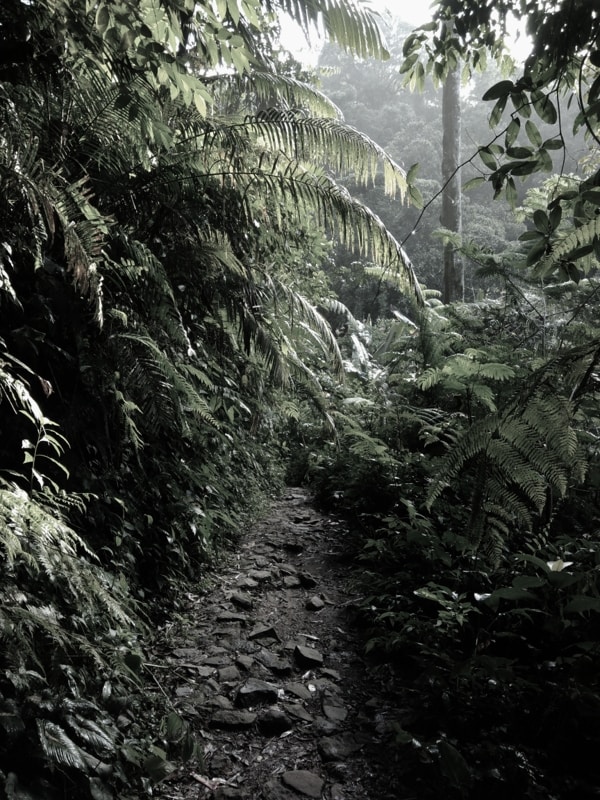 Go to Agung's profile