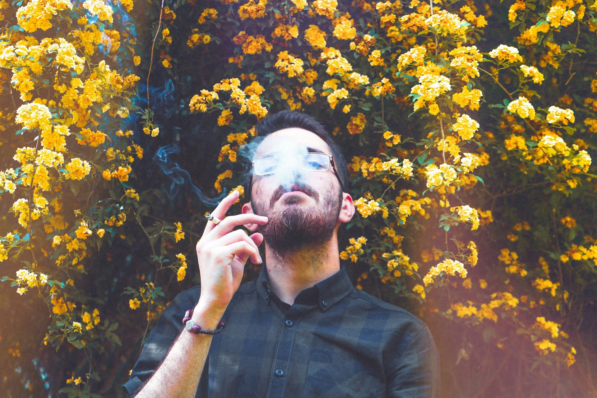 Avatar of user Amir Borhan
