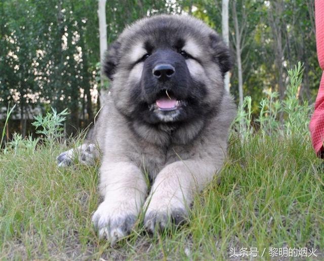 Go to Ian T's profile