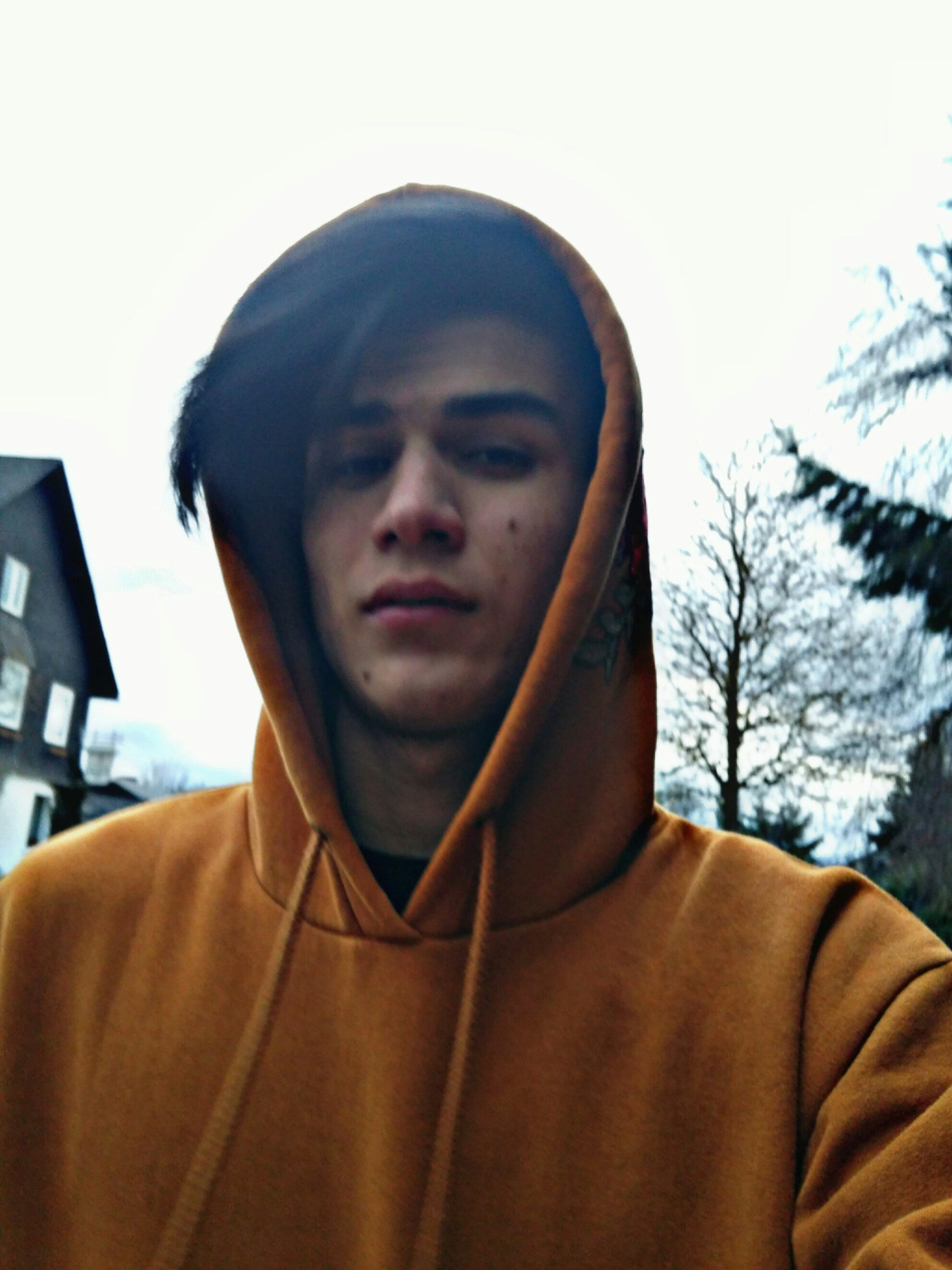 Go to Javid Naderi's profile